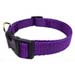 dog collar