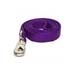 dog leash